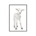 Picture of In Front Lamb _GroupedProduct_Rectangle_Portrait_Mini_ _GroupedProduct_Rectangle_Portrait_Canvas_Framed_