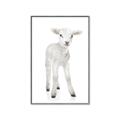 Picture of In Front Lamb _GroupedProduct_Rectangle_Portrait_Mini_ _GroupedProduct_Rectangle_Portrait_Canvas_Framed_