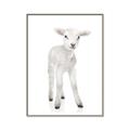Picture of In Front Lamb _GroupedProduct_Rectangle_Portrait_Mini_ _GroupedProduct_Rectangle_Portrait_Canvas_Framed_
