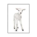 Picture of In Front Lamb _GroupedProduct_Rectangle_Portrait_Mini_ _GroupedProduct_Rectangle_Portrait_Canvas_Framed_