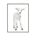 Picture of In Front Lamb _GroupedProduct_Rectangle_Portrait_Mini_ _GroupedProduct_Rectangle_Portrait_Canvas_Framed_