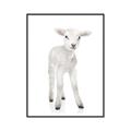 Picture of In Front Lamb _GroupedProduct_Rectangle_Portrait_Mini_ _GroupedProduct_Rectangle_Portrait_Canvas_Framed_
