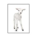 Picture of In Front Lamb _GroupedProduct_Rectangle_Portrait_Mini_ _GroupedProduct_Rectangle_Portrait_Canvas_Framed_