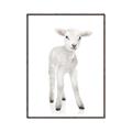 Picture of In Front Lamb _GroupedProduct_Rectangle_Portrait_Mini_ _GroupedProduct_Rectangle_Portrait_Canvas_Framed_