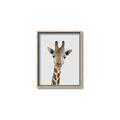 Picture of Baby Giraffe _GroupedProduct_Rectangle_Portrait_Mini_ _GroupedProduct_Rectangle_Portrait_Canvas_Framed_