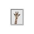 Picture of Baby Giraffe _GroupedProduct_Rectangle_Portrait_Mini_ _GroupedProduct_Rectangle_Portrait_Canvas_Framed_
