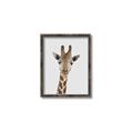 Picture of Baby Giraffe _GroupedProduct_Rectangle_Portrait_Mini_ _GroupedProduct_Rectangle_Portrait_Canvas_Framed_