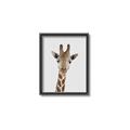 Picture of Baby Giraffe _GroupedProduct_Rectangle_Portrait_Mini_ _GroupedProduct_Rectangle_Portrait_Canvas_Framed_