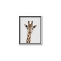 Picture of Baby Giraffe _GroupedProduct_Rectangle_Portrait_Mini_ _GroupedProduct_Rectangle_Portrait_Canvas_Framed_