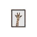 Picture of Baby Giraffe _GroupedProduct_Rectangle_Portrait_Mini_ _GroupedProduct_Rectangle_Portrait_Canvas_Framed_