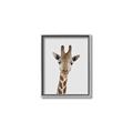 Picture of Baby Giraffe _GroupedProduct_Rectangle_Portrait_Mini_ _GroupedProduct_Rectangle_Portrait_Canvas_Framed_