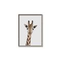 Picture of Baby Giraffe _GroupedProduct_Rectangle_Portrait_Mini_ _GroupedProduct_Rectangle_Portrait_Canvas_Framed_