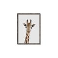 Picture of Baby Giraffe _GroupedProduct_Rectangle_Portrait_Mini_ _GroupedProduct_Rectangle_Portrait_Canvas_Framed_