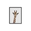 Picture of Baby Giraffe _GroupedProduct_Rectangle_Portrait_Mini_ _GroupedProduct_Rectangle_Portrait_Canvas_Framed_
