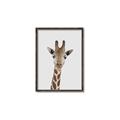 Picture of Baby Giraffe _GroupedProduct_Rectangle_Portrait_Mini_ _GroupedProduct_Rectangle_Portrait_Canvas_Framed_