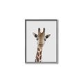 Picture of Baby Giraffe _GroupedProduct_Rectangle_Portrait_Mini_ _GroupedProduct_Rectangle_Portrait_Canvas_Framed_