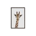 Picture of Baby Giraffe _GroupedProduct_Rectangle_Portrait_Mini_ _GroupedProduct_Rectangle_Portrait_Canvas_Framed_