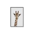 Picture of Baby Giraffe _GroupedProduct_Rectangle_Portrait_Mini_ _GroupedProduct_Rectangle_Portrait_Canvas_Framed_