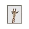 Picture of Baby Giraffe _GroupedProduct_Rectangle_Portrait_Mini_ _GroupedProduct_Rectangle_Portrait_Canvas_Framed_