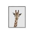 Picture of Baby Giraffe _GroupedProduct_Rectangle_Portrait_Mini_ _GroupedProduct_Rectangle_Portrait_Canvas_Framed_