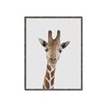 Picture of Baby Giraffe _GroupedProduct_Rectangle_Portrait_Mini_ _GroupedProduct_Rectangle_Portrait_Canvas_Framed_