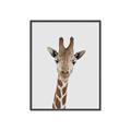 Picture of Baby Giraffe _GroupedProduct_Rectangle_Portrait_Mini_ _GroupedProduct_Rectangle_Portrait_Canvas_Framed_