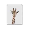 Picture of Baby Giraffe _GroupedProduct_Rectangle_Portrait_Mini_ _GroupedProduct_Rectangle_Portrait_Canvas_Framed_