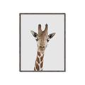 Picture of Baby Giraffe _GroupedProduct_Rectangle_Portrait_Mini_ _GroupedProduct_Rectangle_Portrait_Canvas_Framed_