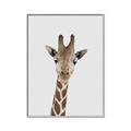 Picture of Baby Giraffe _GroupedProduct_Rectangle_Portrait_Mini_ _GroupedProduct_Rectangle_Portrait_Canvas_Framed_