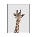 Picture of Baby Giraffe _GroupedProduct_Rectangle_Portrait_Mini_ _GroupedProduct_Rectangle_Portrait_Canvas_Framed_