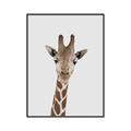 Picture of Baby Giraffe _GroupedProduct_Rectangle_Portrait_Mini_ _GroupedProduct_Rectangle_Portrait_Canvas_Framed_