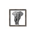 Picture of Elephant Black and White _GroupedProduct_Square_Mini_ _GroupedProduct_Square_Canvas_Framed_