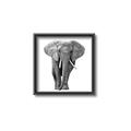 Picture of Elephant Black and White _GroupedProduct_Square_Mini_ _GroupedProduct_Square_Canvas_Framed_