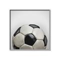 Picture of Soccerball _GroupedProduct_Square_Mini_ _GroupedProduct_Square_Canvas_Framed_