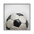 Picture of Soccerball _GroupedProduct_Square_Mini_ _GroupedProduct_Square_Canvas_Framed_
