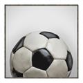 Picture of Soccerball _GroupedProduct_Square_Mini_ _GroupedProduct_Square_Canvas_Framed_