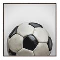 Picture of Soccerball _GroupedProduct_Square_Mini_ _GroupedProduct_Square_Canvas_Framed_
