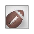 Picture of Football _GroupedProduct_Square_Mini_ _GroupedProduct_Square_Canvas_Framed_