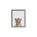 Picture of Baby Lion _GroupedProduct_Rectangle_Portrait_Mini_ _GroupedProduct_Rectangle_Portrait_Canvas_Framed_