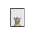 Picture of Baby Lion _GroupedProduct_Rectangle_Portrait_Mini_ _GroupedProduct_Rectangle_Portrait_Canvas_Framed_