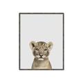 Picture of Baby Lion _GroupedProduct_Rectangle_Portrait_Mini_ _GroupedProduct_Rectangle_Portrait_Canvas_Framed_