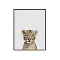 Picture of Baby Lion _GroupedProduct_Rectangle_Portrait_Mini_ _GroupedProduct_Rectangle_Portrait_Canvas_Framed_