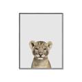 Picture of Baby Lion _GroupedProduct_Rectangle_Portrait_Mini_ _GroupedProduct_Rectangle_Portrait_Canvas_Framed_