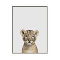 Picture of Baby Lion _GroupedProduct_Rectangle_Portrait_Mini_ _GroupedProduct_Rectangle_Portrait_Canvas_Framed_