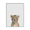 Picture of Baby Lion _GroupedProduct_Rectangle_Portrait_Mini_ _GroupedProduct_Rectangle_Portrait_Canvas_Framed_