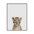Picture of Baby Lion _GroupedProduct_Rectangle_Portrait_Mini_ _GroupedProduct_Rectangle_Portrait_Canvas_Framed_