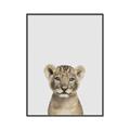 Picture of Baby Lion _GroupedProduct_Rectangle_Portrait_Mini_ _GroupedProduct_Rectangle_Portrait_Canvas_Framed_