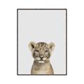 Picture of Baby Lion _GroupedProduct_Rectangle_Portrait_Mini_ _GroupedProduct_Rectangle_Portrait_Canvas_Framed_