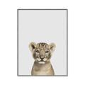 Picture of Baby Lion _GroupedProduct_Rectangle_Portrait_Mini_ _GroupedProduct_Rectangle_Portrait_Canvas_Framed_