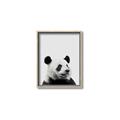 Picture of Panda Portrait _GroupedProduct_Rectangle_Portrait_Mini_ _GroupedProduct_Rectangle_Portrait_Canvas_Framed_